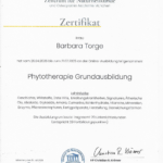 Physiotherapie Grundausbildung Zertifikat